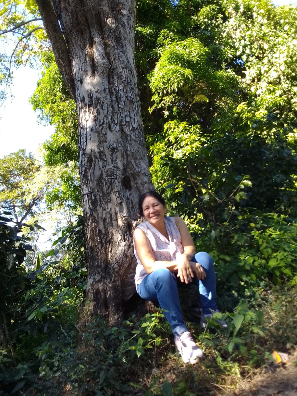 Coffee farm scene