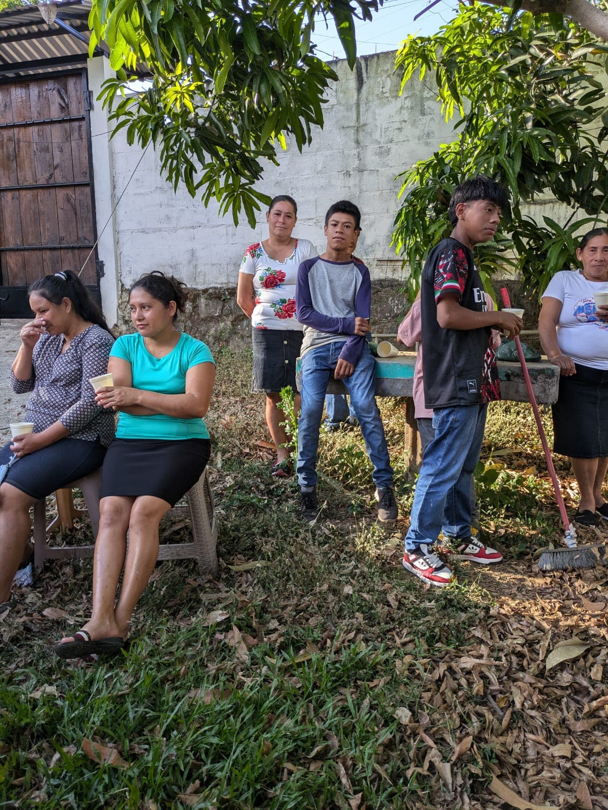 Coffee farm scene