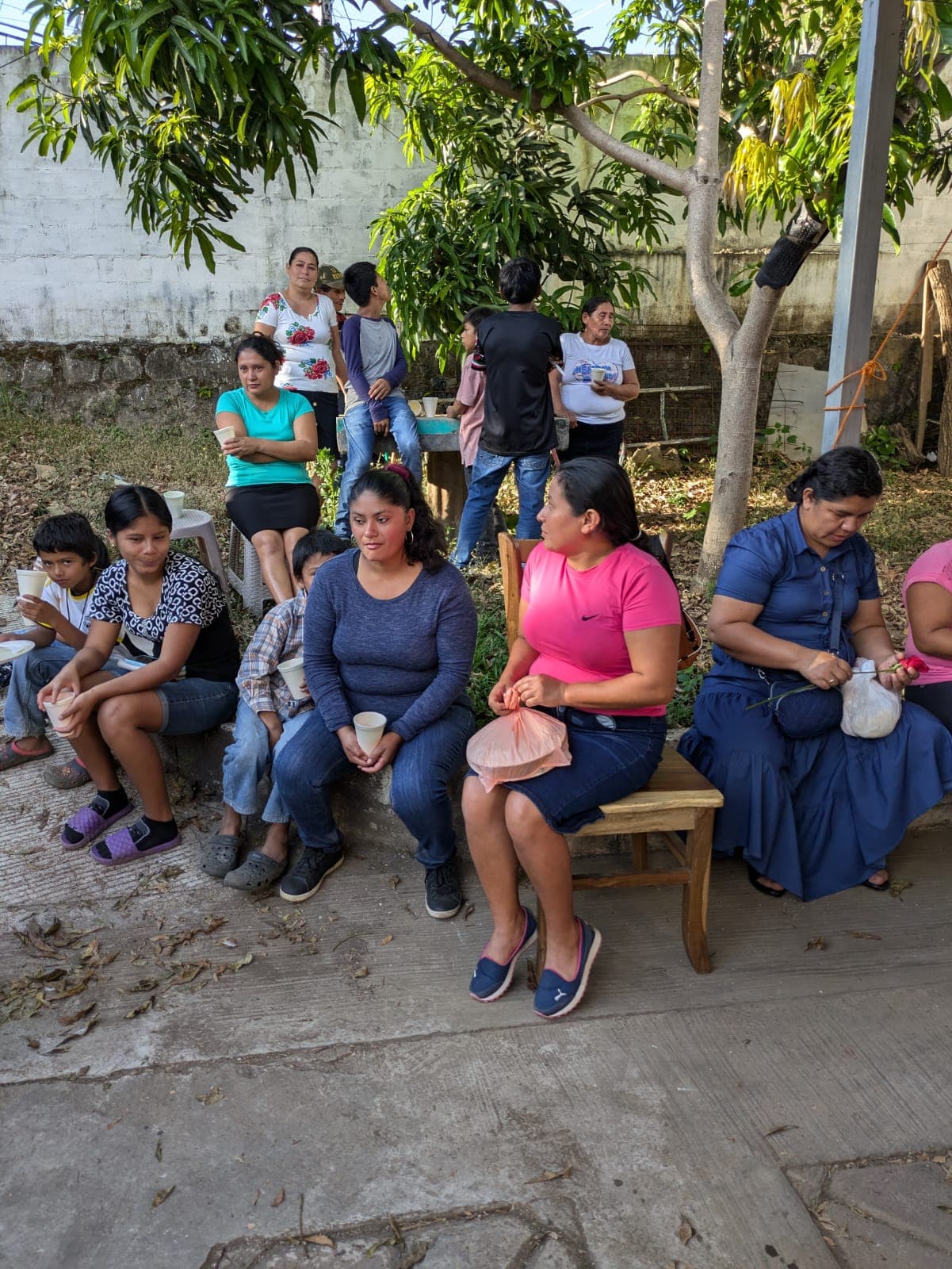 Coffee farm scene